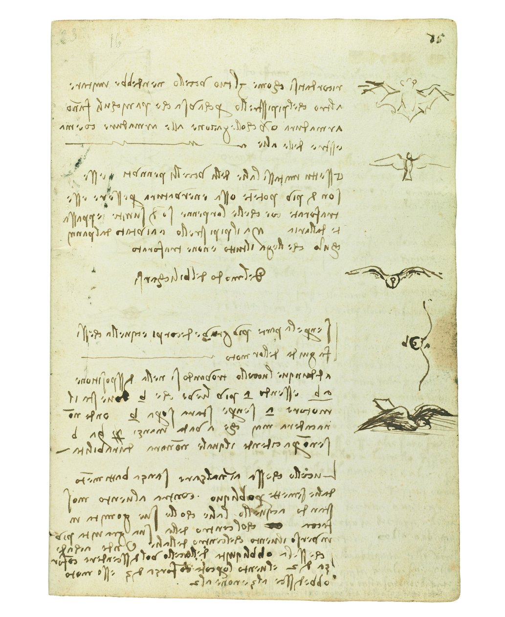 关于鸟类飞行的法典，Folio 15 recto 作者 达芬奇（Leonardo da Vinci）