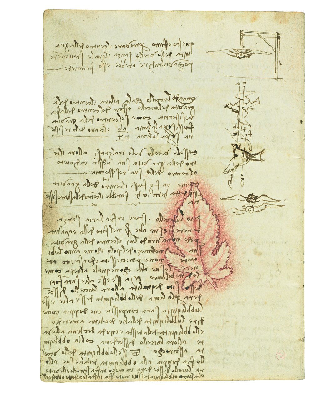 关于鸟类飞行的法典，Folio 15 verso 作者 达芬奇（Leonardo da Vinci）
