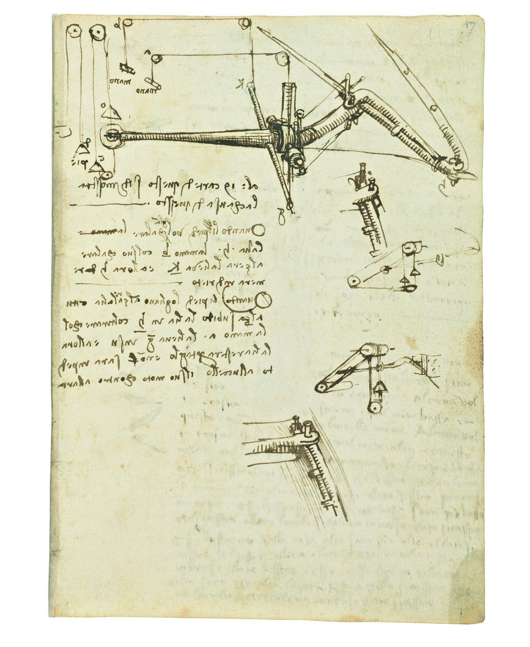 关于鸟类飞行的法典，Folio 17 recto 作者 达芬奇（Leonardo da Vinci）