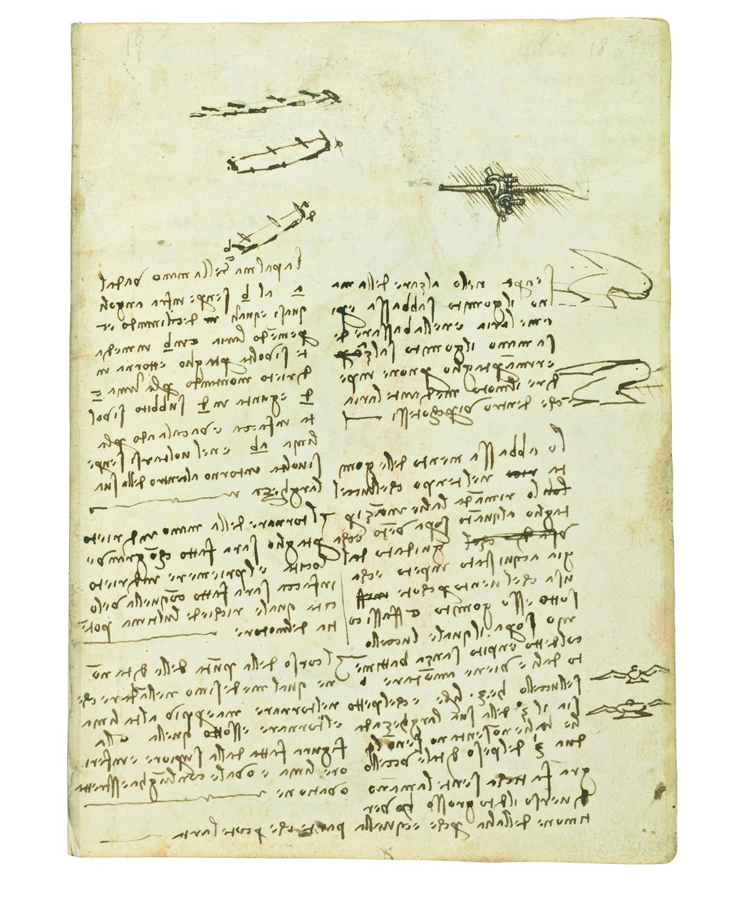 关于鸟类飞行的法典，Folio 18 recto 作者 达芬奇（Leonardo da Vinci）