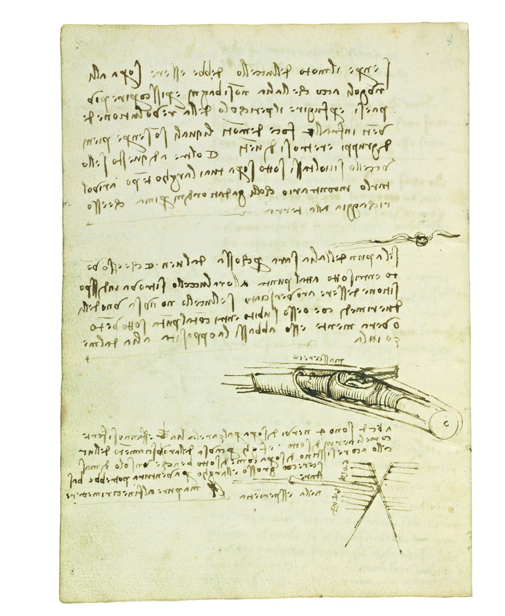 关于鸟类飞行的法典，Folio 6 verso 作者 达芬奇（Leonardo da Vinci）