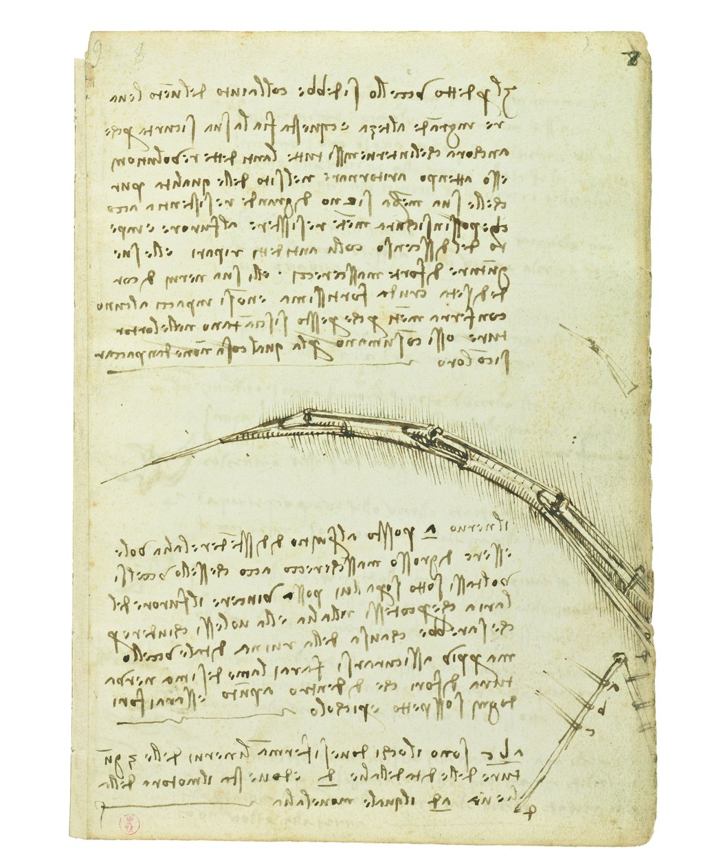 关于鸟类飞行的法典，Folio 7 recto 作者 达芬奇（Leonardo da Vinci）