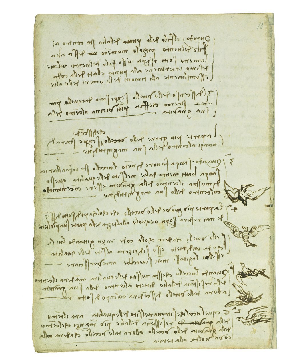 关于鸟类飞行的法典，Folio 7 verso 作者 达芬奇（Leonardo da Vinci）
