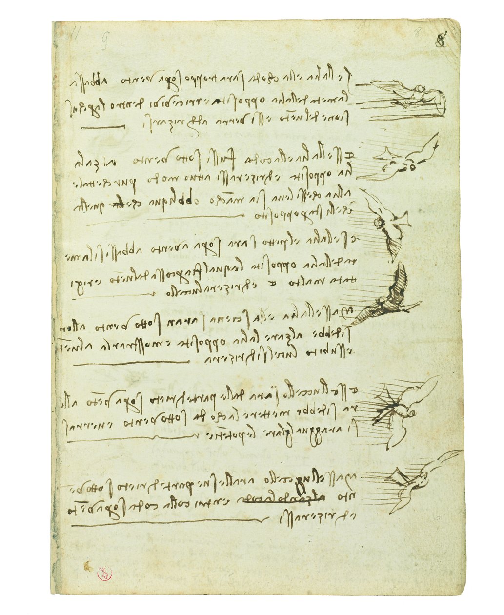 关于鸟类飞行的法典，Folio 8 recto 作者 达芬奇（Leonardo da Vinci）