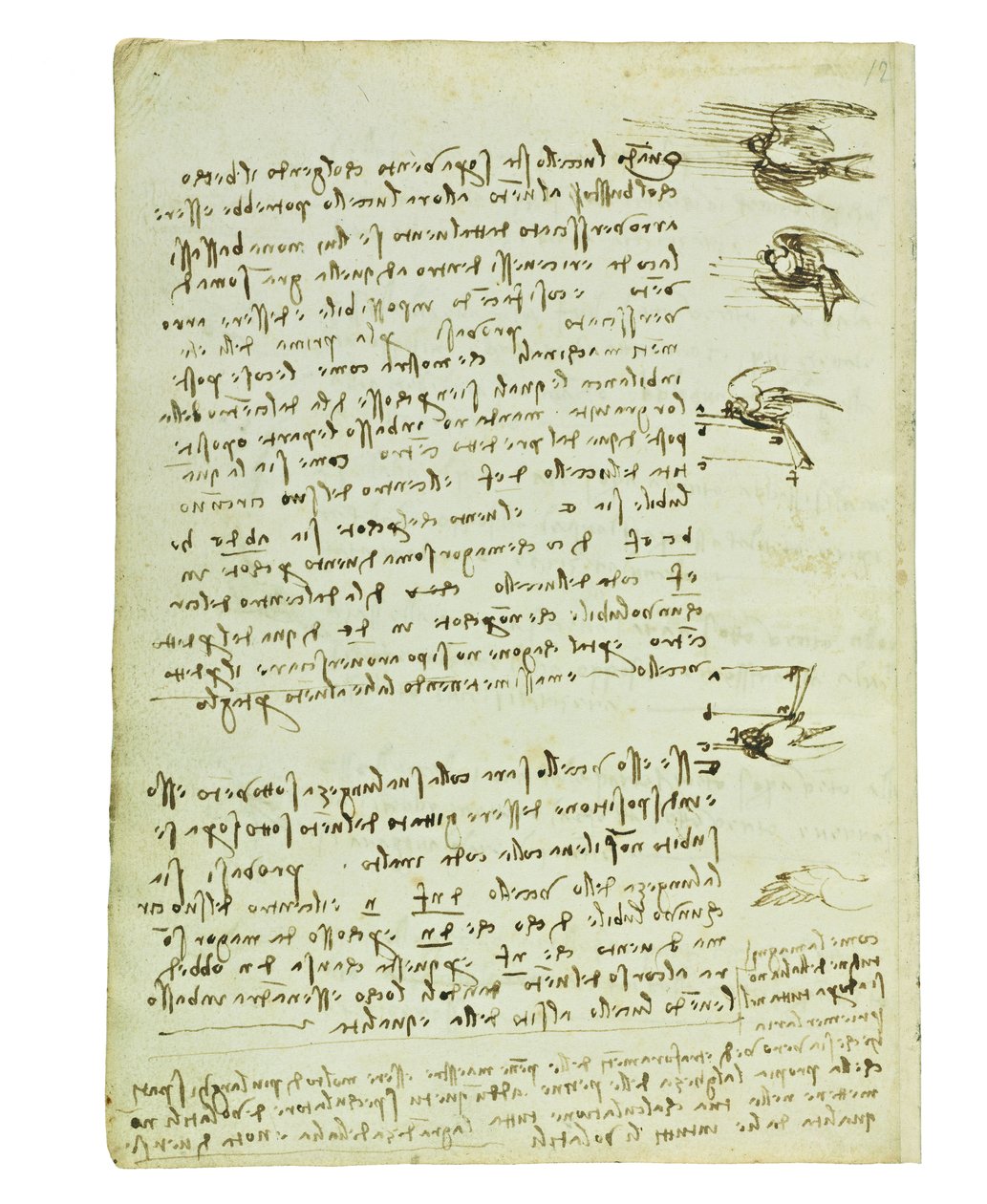 关于鸟类飞行的法典，Folio 8 verso 作者 达芬奇（Leonardo da Vinci）