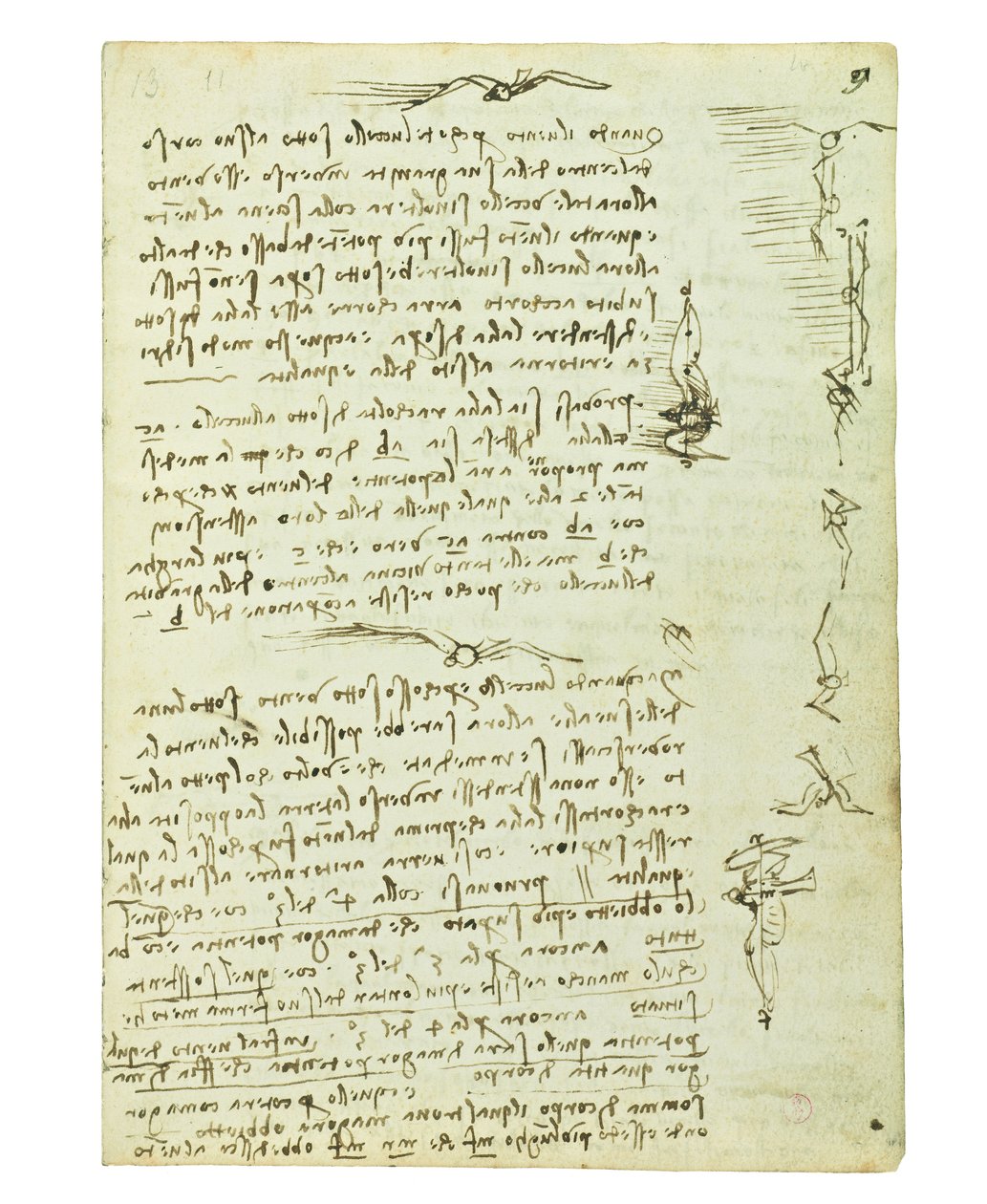 关于鸟类飞行的法典，Folio 9 recto 作者 达芬奇（Leonardo da Vinci）