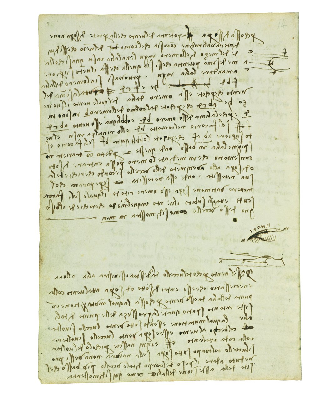 关于鸟类飞行的法典，Folio 9 verso 作者 达芬奇（Leonardo da Vinci）