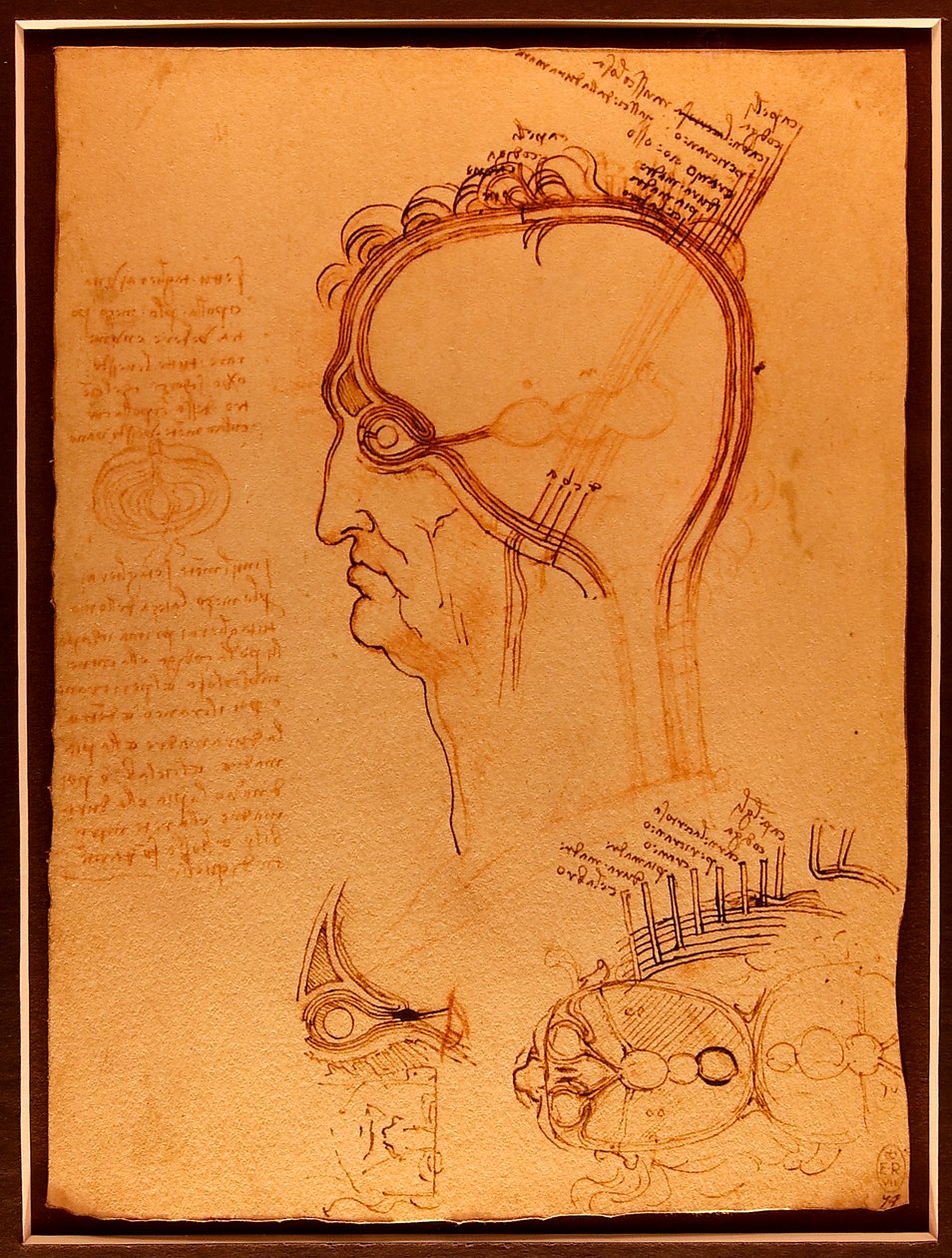 研究起重机Luc Viatour 作者 达芬奇（Leonardo da Vinci）