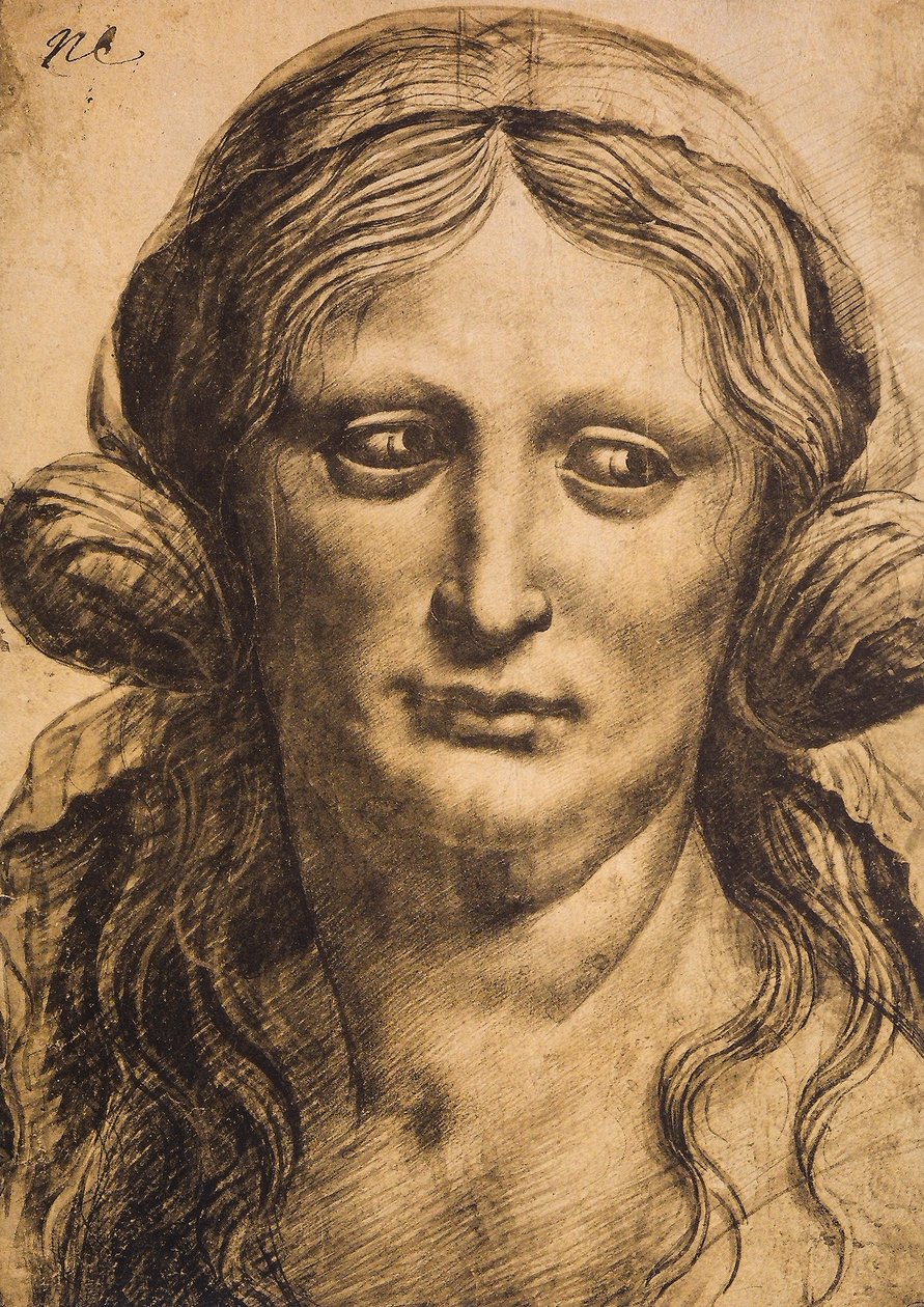 女性肖像;莱昂纳多达芬奇画的。巴黎的卢浮宫 作者 达芬奇（Leonardo da Vinci）