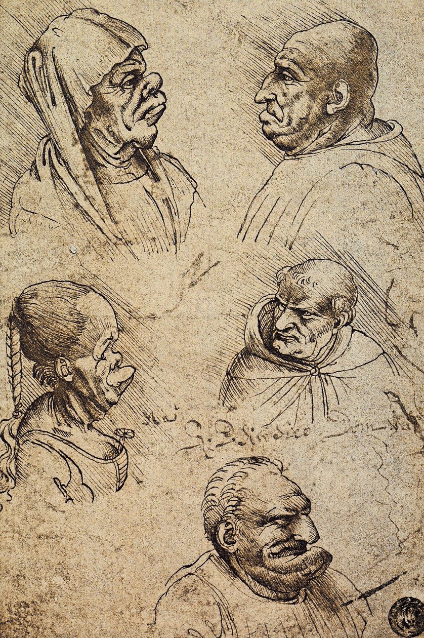 莱昂纳多达芬奇画的五个奇形怪状的头像。 Gallerie dellAccademia，威尼斯 作者 达芬奇（Leonardo da Vinci）