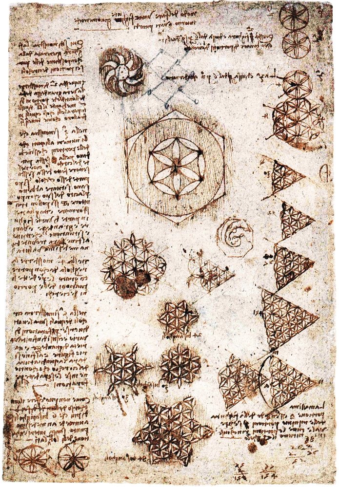 生命之花 作者 达芬奇（Leonardo da Vinci）
