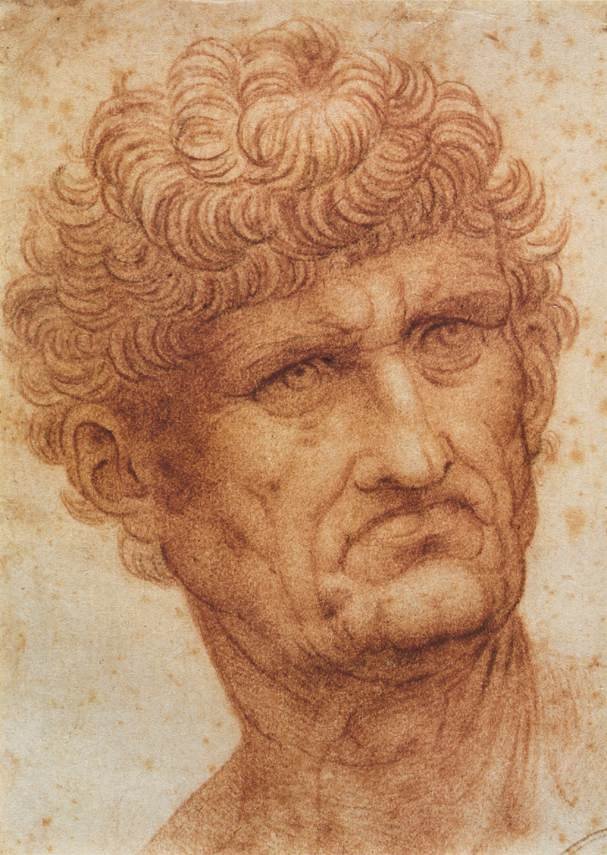 一个男人的头 作者 达芬奇（Leonardo da Vinci）