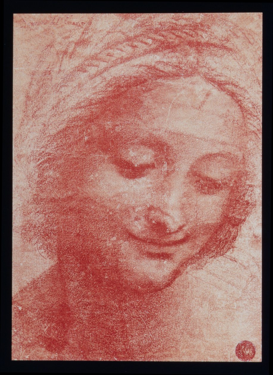 一个女人的头（纸上的木炭） 作者 达芬奇（Leonardo da Vinci）