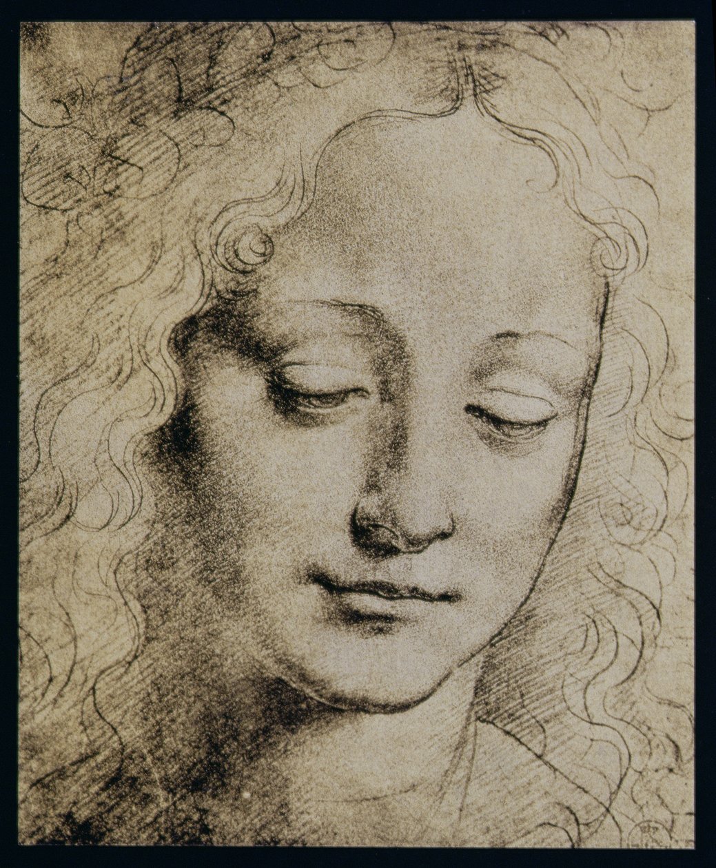 一个年轻女孩的头 作者 达芬奇（Leonardo da Vinci）