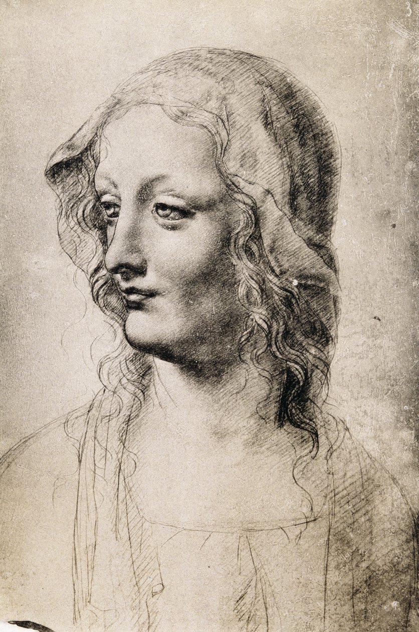 一名年轻女子的头（纸上的木炭） 作者 达芬奇（Leonardo da Vinci）