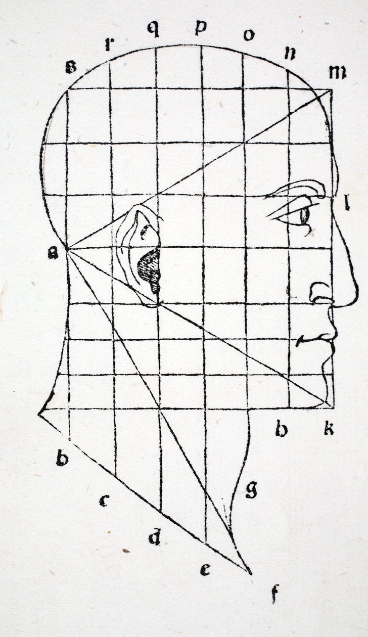 来自&39;Divina Proportione&39;的插图由Luca Pacioli（c.1445-1517），最初是酒吧。威尼斯，1509 作者 达芬奇（Leonardo da Vinci）