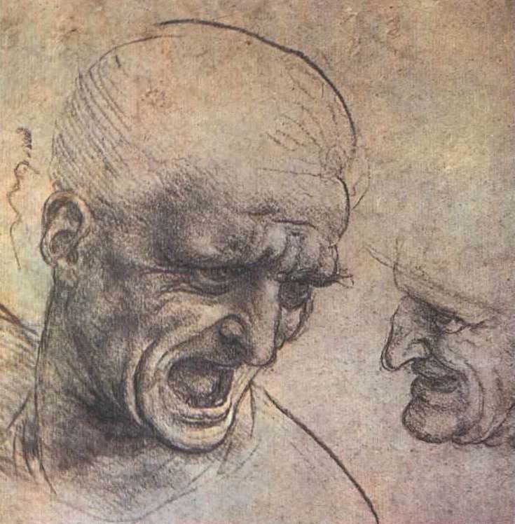 战士头 作者 达芬奇（Leonardo da Vinci）