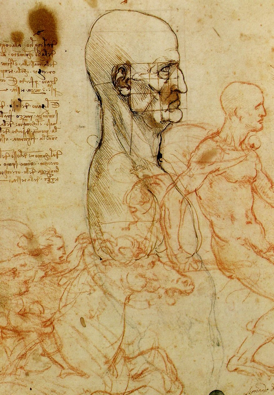 男子Kopfstudie 作者 达芬奇（Leonardo da Vinci）