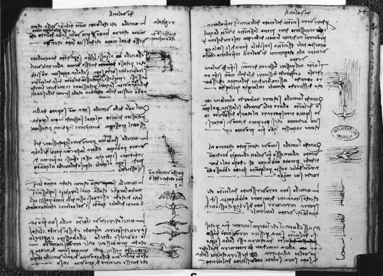 Paris Manuscript E，fol。 53v和54r：描绘鸟类飞行的草图，1513-14（笔和墨水在纸上） 作者 达芬奇（Leonardo da Vinci）