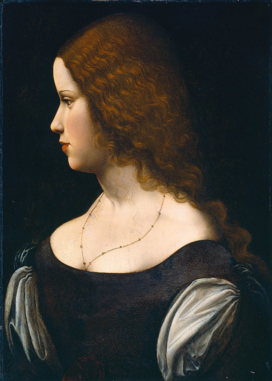 一位年轻女士的画像 作者 达芬奇（Leonardo da Vinci）
