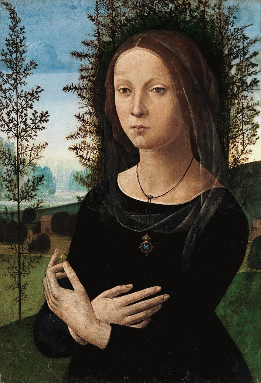 一名年轻女子的画像 作者 达芬奇（Leonardo da Vinci）
