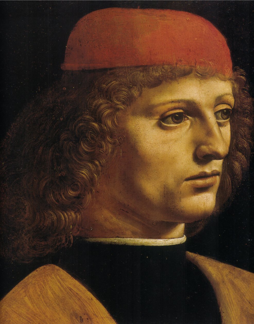 一位音乐家的画像 作者 达芬奇（Leonardo da Vinci）