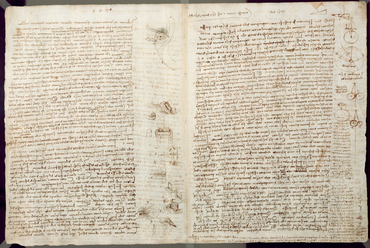 科学图表，来自Codex Leicester，1508-12（亚麻纸上的棕褐色墨水） 作者 达芬奇（Leonardo da Vinci）