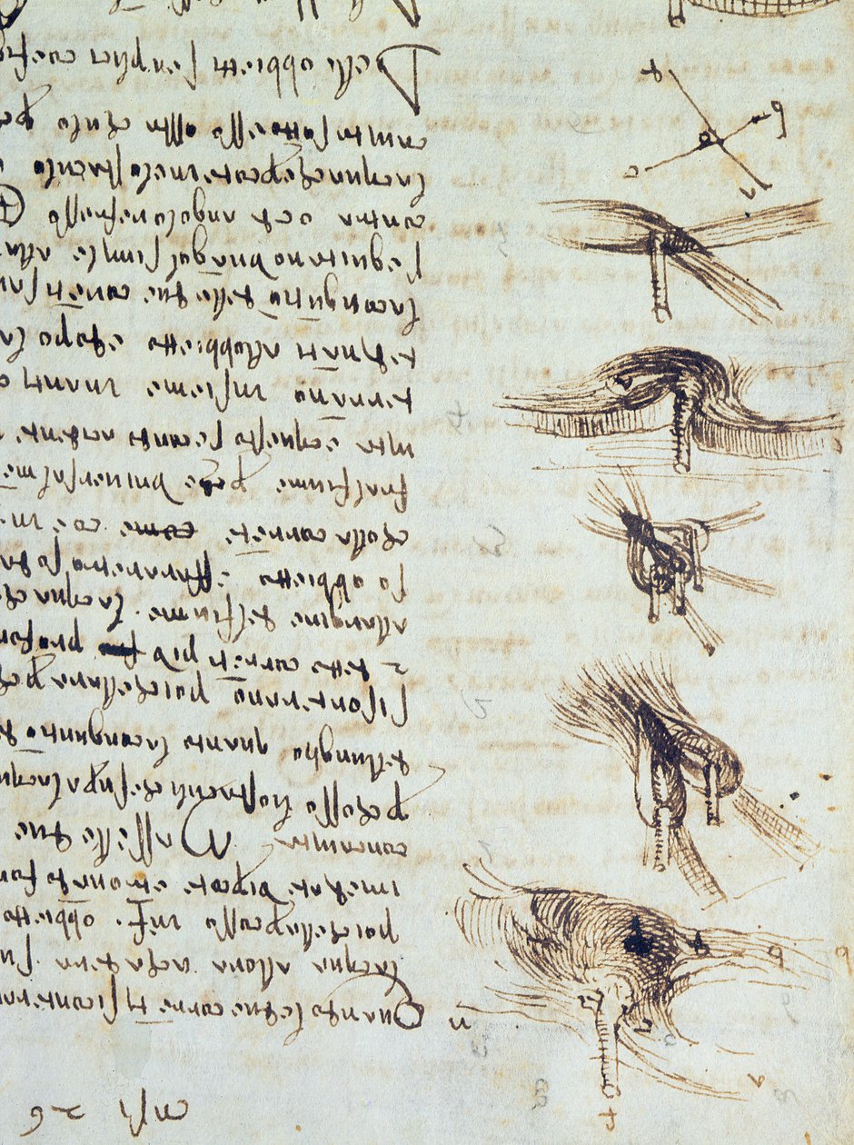 科学图表，来自Codex Leicester，1508-12棕褐色墨水，亚麻纸细节227790 作者 达芬奇（Leonardo da Vinci）