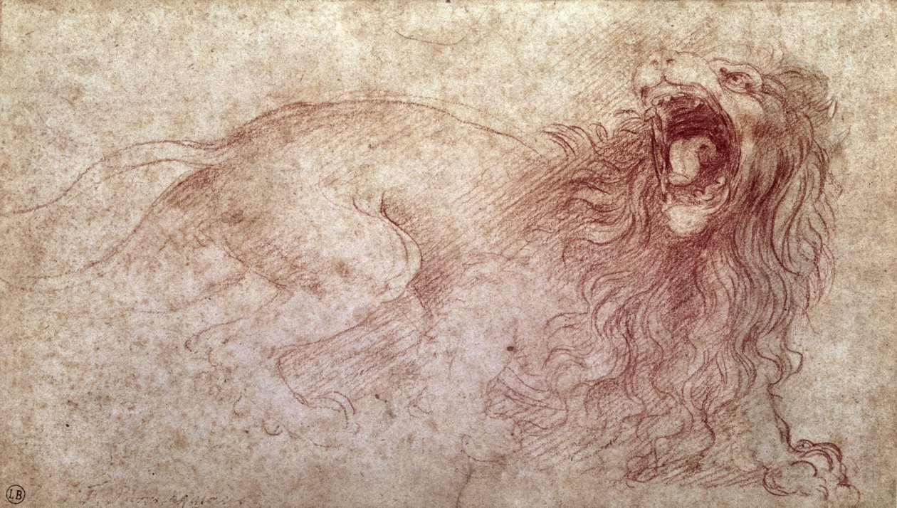咆哮的狮子（纸上的红色粉笔）的剪影 作者 达芬奇（Leonardo da Vinci）