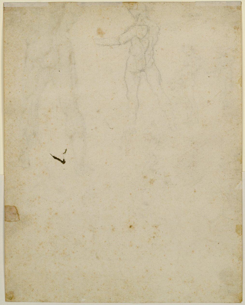 正面中央图的草图，从左侧看 作者 达芬奇（Leonardo da Vinci）