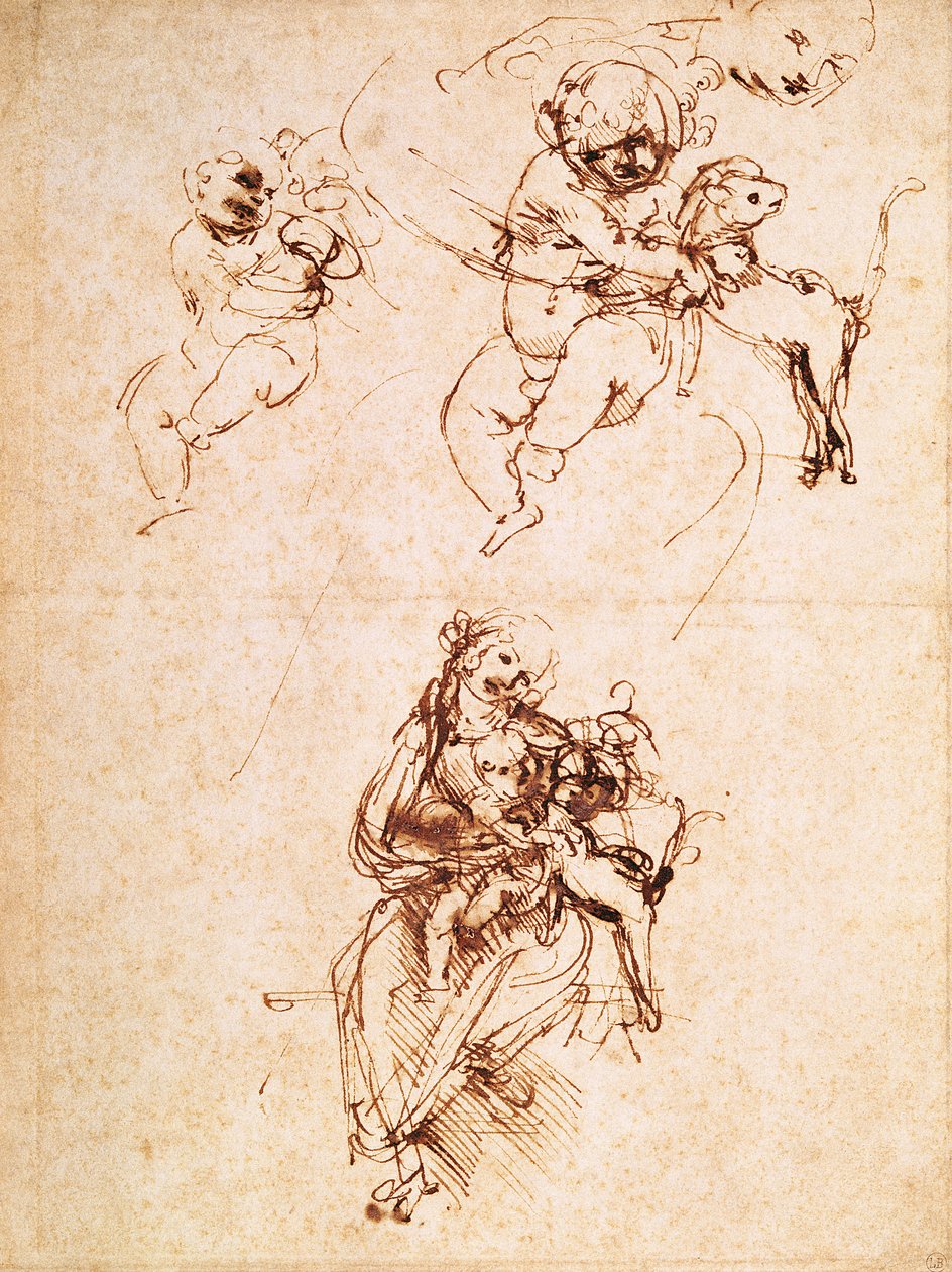 麦当娜与猫的研究，c.1478-80（笔和纸上的墨水） 作者 达芬奇（Leonardo da Vinci）