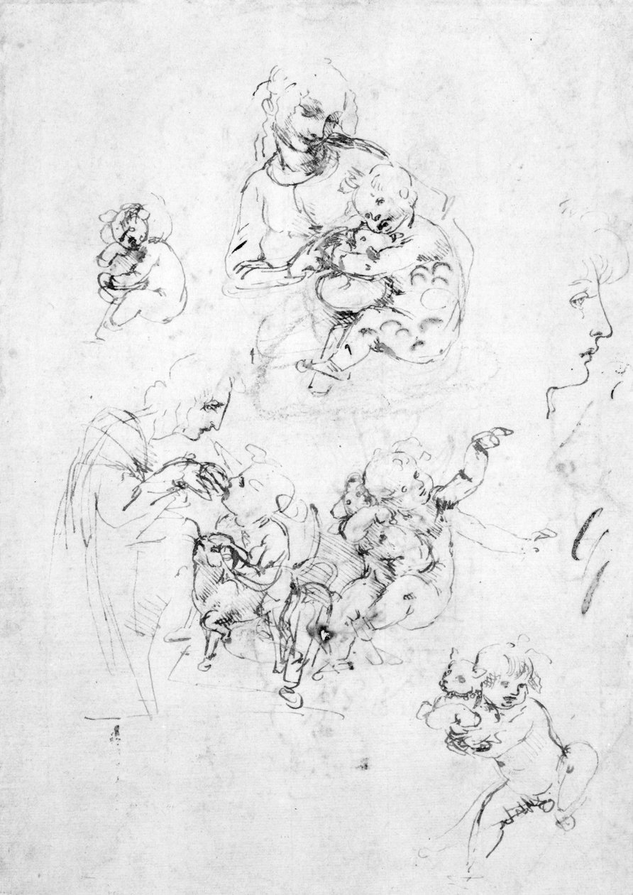 研究麦当娜与猫，c.1478-80（笔和墨水在纸上的黑色粉笔） 作者 达芬奇（Leonardo da Vinci）
