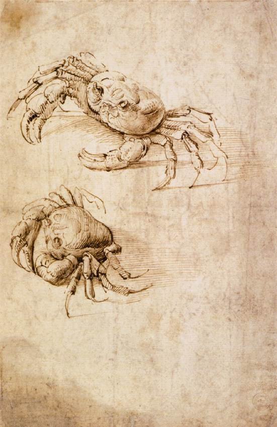 研究螃蟹 作者 达芬奇（Leonardo da Vinci）