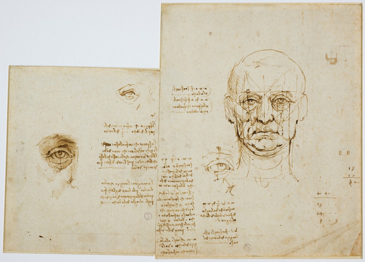 研究面部和眼睛的比例（附注），c。 1489-90（金属笔尖，笔和棕色墨水在纸上） 作者 达芬奇（Leonardo da Vinci）