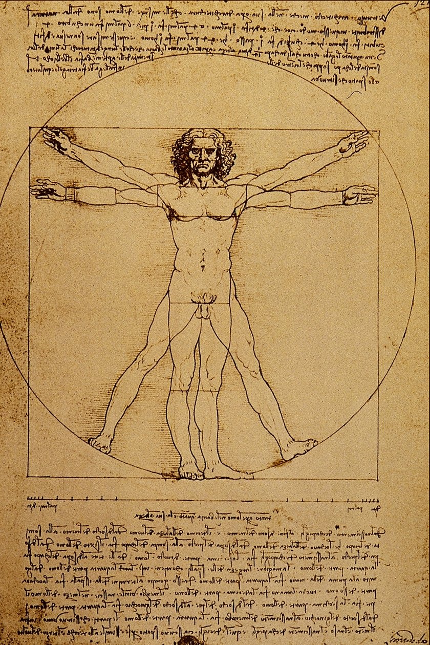 人体研究 作者 达芬奇（Leonardo da Vinci）