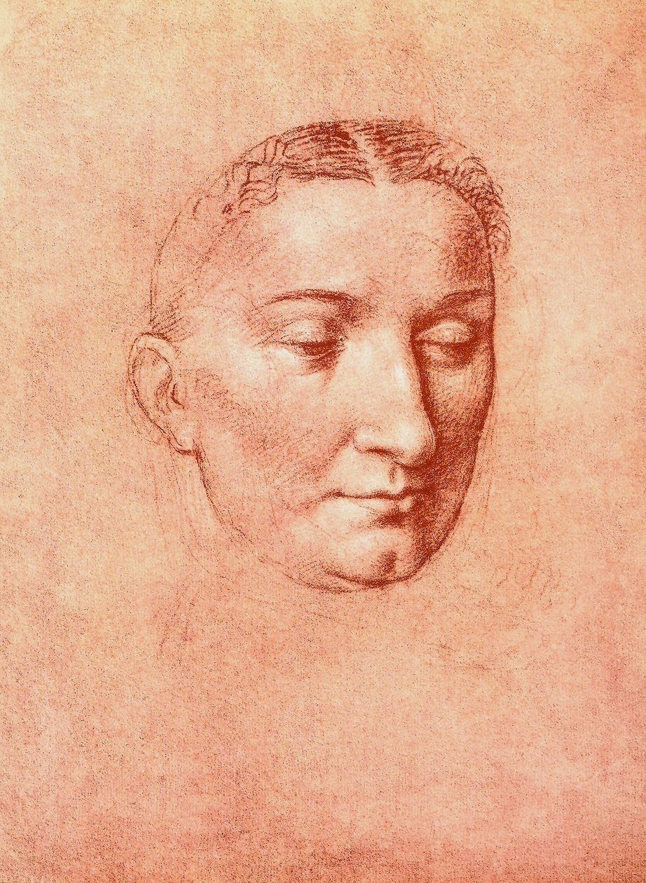 研究由达芬奇绘制的圣人头像。 Gallerie dellAccademia，威尼斯 作者 达芬奇（Leonardo da Vinci）