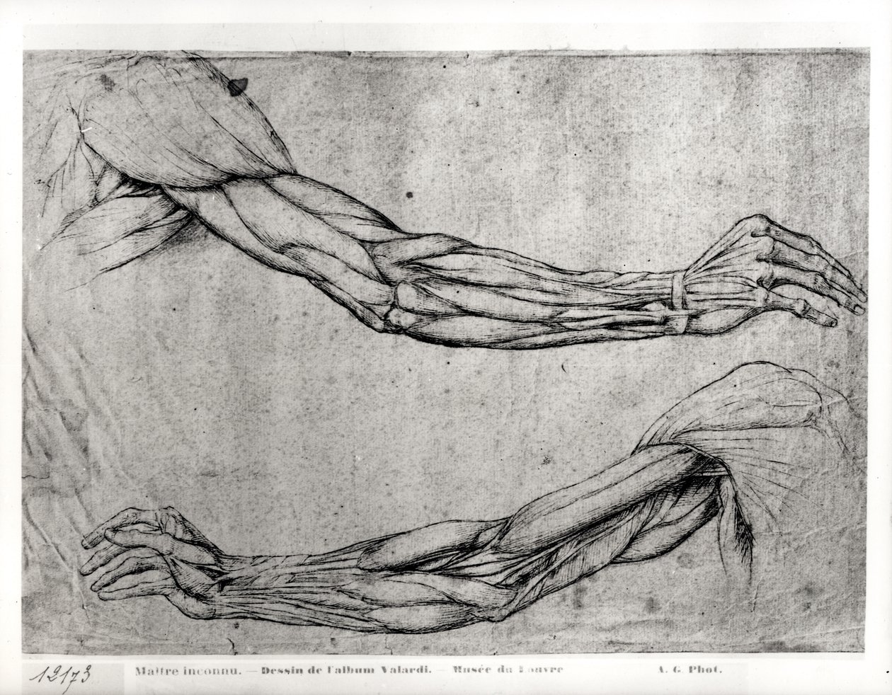 武器研究 作者 达芬奇（Leonardo da Vinci）