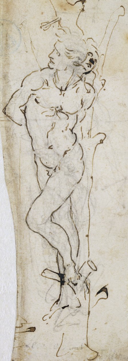 圣塞巴斯蒂安的研究，1480-81（纸笔上的铅笔墨水） 作者 达芬奇（Leonardo da Vinci）