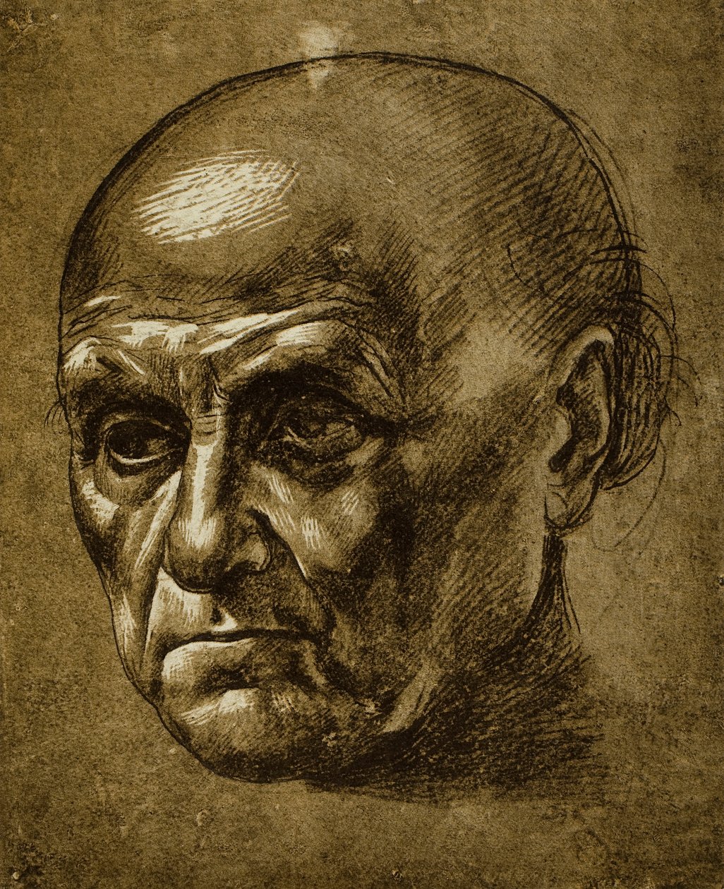 研究男性面部;莱昂纳多达芬奇画的。巴黎的卢浮宫 作者 达芬奇（Leonardo da Vinci）