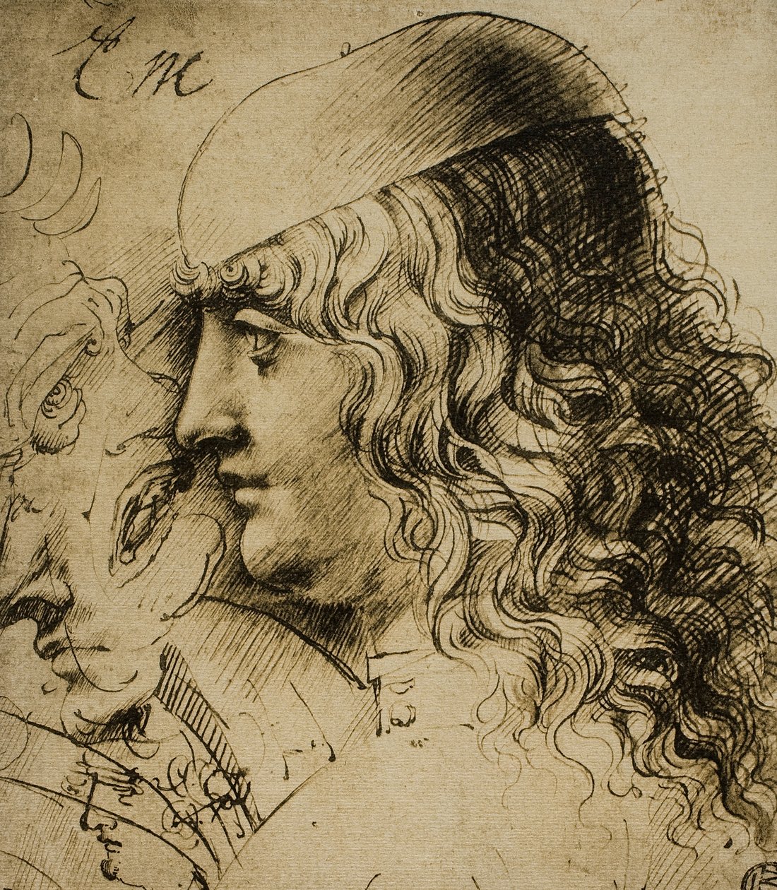 研究男性头;莱昂纳多达芬奇画的。巴黎的卢浮宫 作者 达芬奇（Leonardo da Vinci）