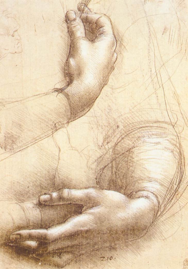 研究手 作者 达芬奇（Leonardo da Vinci）
