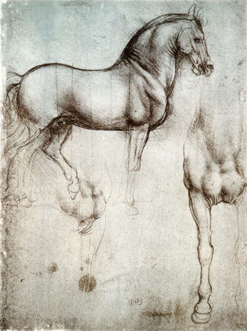 研究马 作者 达芬奇（Leonardo da Vinci）