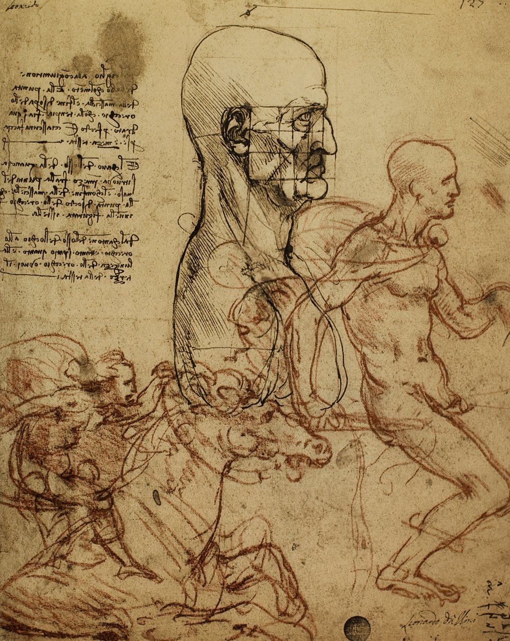 研究人类地貌和骑兵为Anghiari战役绘画;莱昂纳多达芬奇画的。 Gallerie dellAccademia，威尼斯 作者 达芬奇（Leonardo da Vinci）