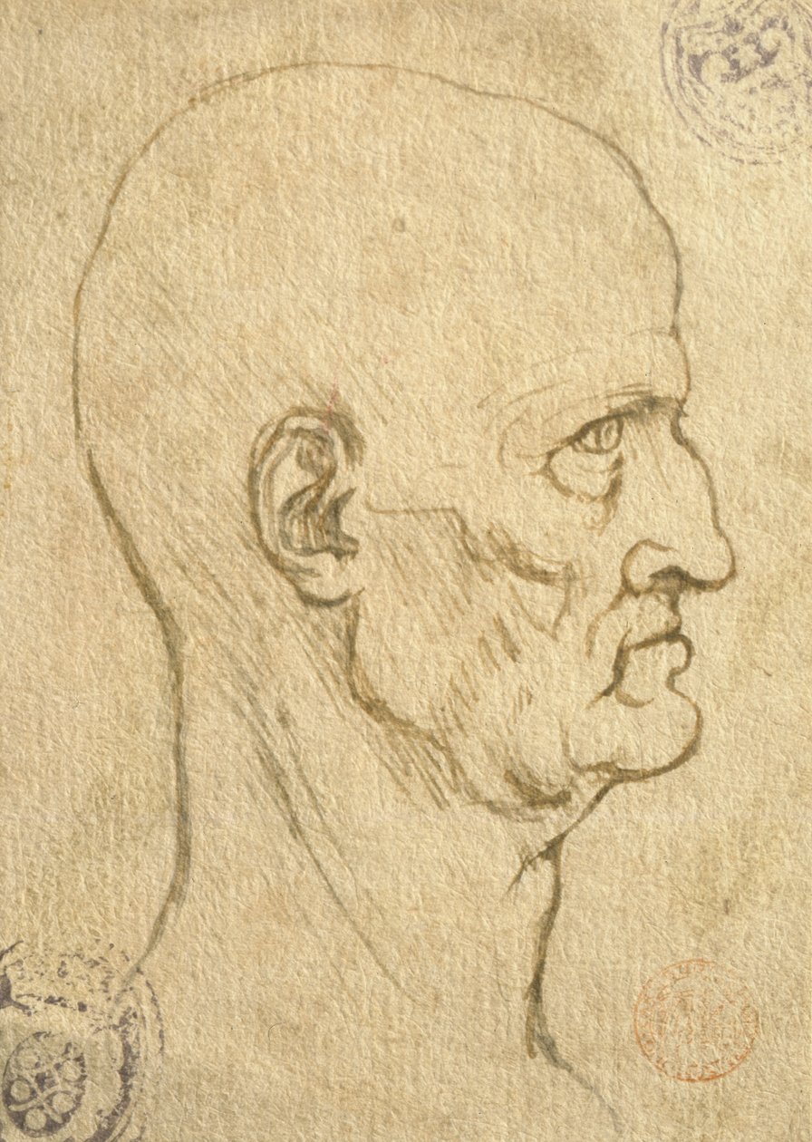 研究人的比例 作者 达芬奇（Leonardo da Vinci）