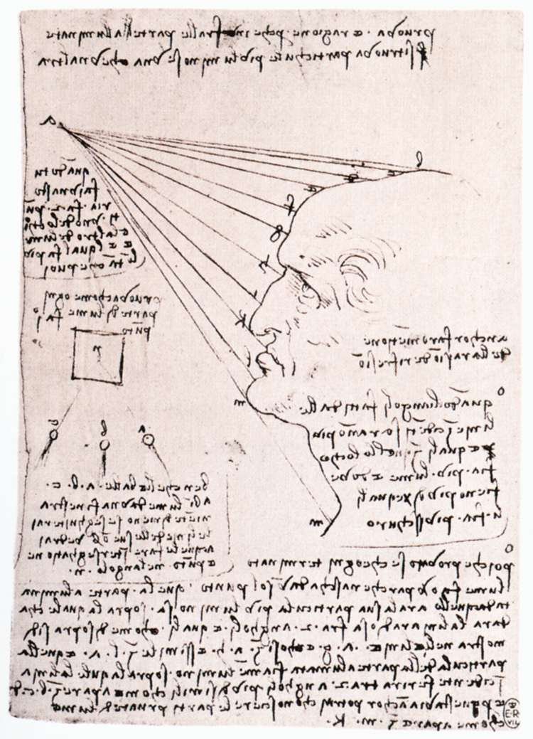 研究光对轮廓头的影响 作者 达芬奇（Leonardo da Vinci）