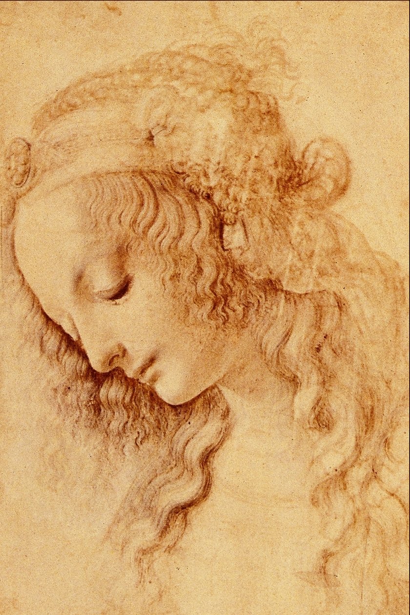 简介女人的头 作者 达芬奇（Leonardo da Vinci）