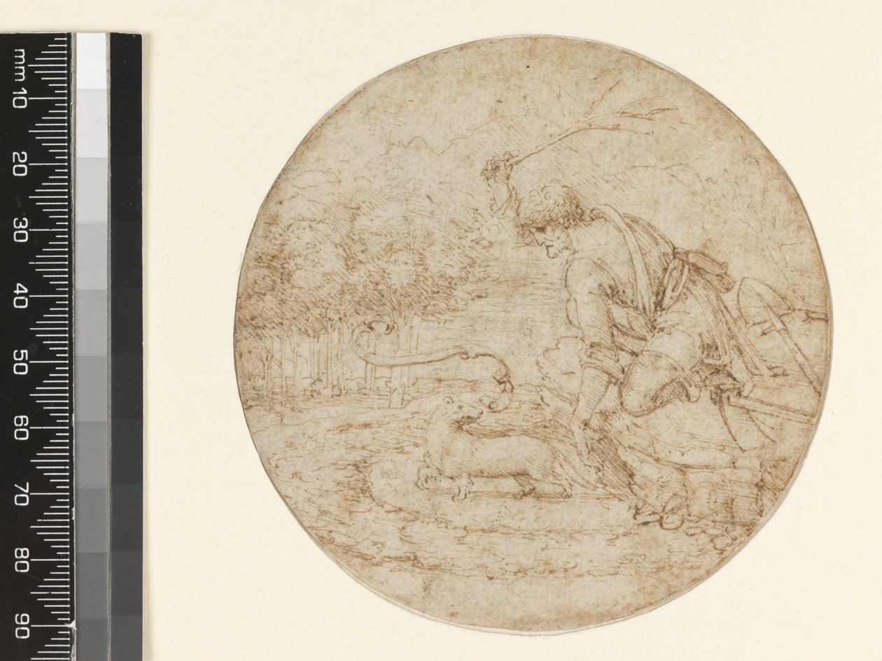 Ermine作为纯净的象征，c.1494（笔和棕色墨水在纸上黑色） 作者 达芬奇（Leonardo da Vinci）
