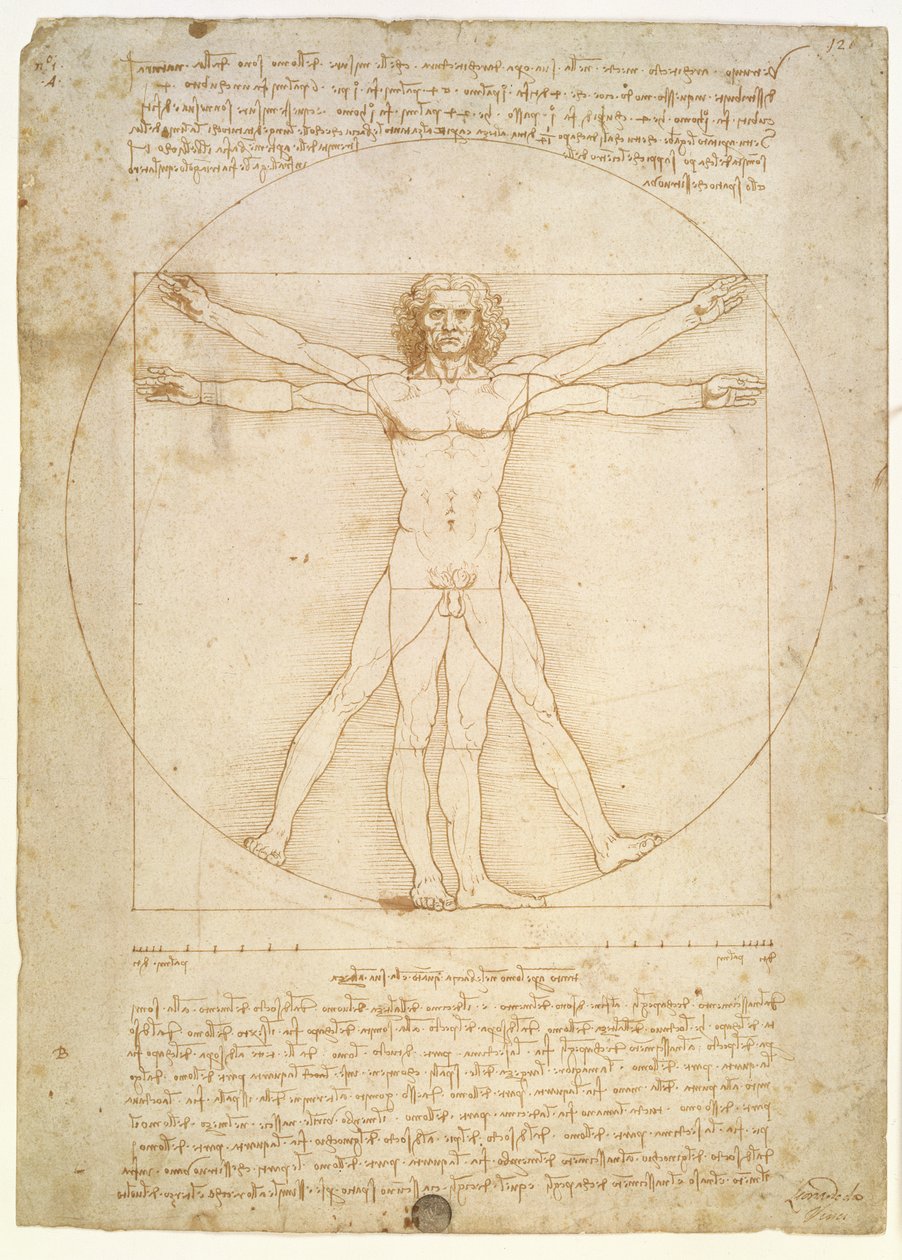 人类的比例（在Vitruvius之后），c.1492 作者 达芬奇（Leonardo da Vinci）