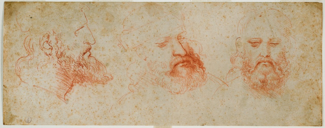 有胡子的男子气概的三个看法，c。 1502（纸上血迹） 作者 达芬奇（Leonardo da Vinci）
