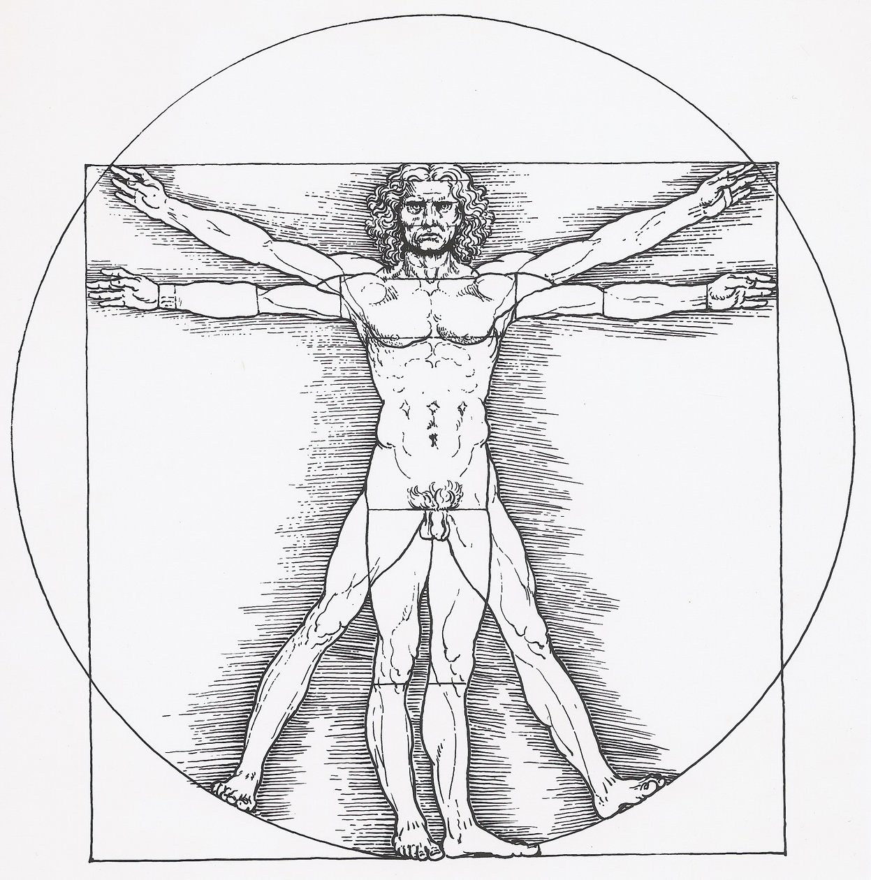 维特鲁威人 作者 达芬奇（Leonardo da Vinci）